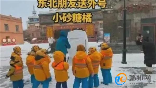 小沙糖桔想把东北警察带回家 小沙糖桔是谁
