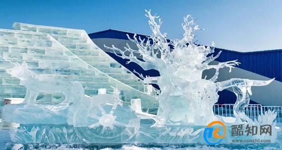 哈尔滨巨龙冰雕被游客掰掉牙齿 反映出什么问题