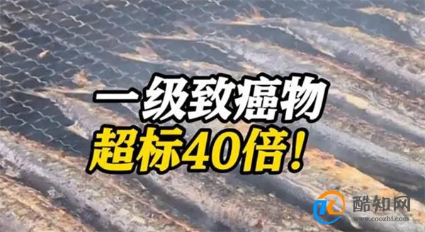 台湾查出日本鱼类致癌物超标40倍 原因是什么