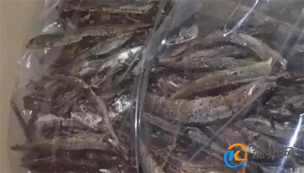 台湾查出日本鱼类致癌物超标40倍 原因是什么