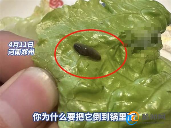 就餐时吃出虫子 店员：有虫子才新鲜 如何加强食品安全
