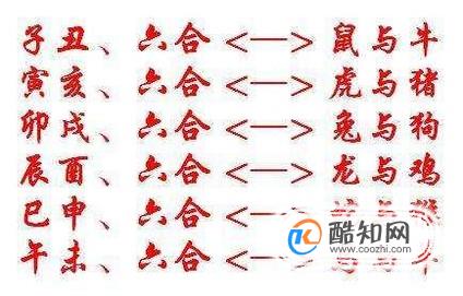 生肖相冲如何化解?