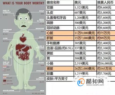 器官捐献日揭秘器官买卖黑市的肮脏内幕优质