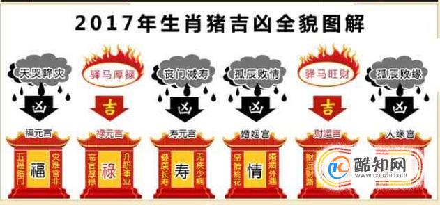 属猪2017年运势及运程