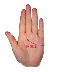 教你看手纹识手相