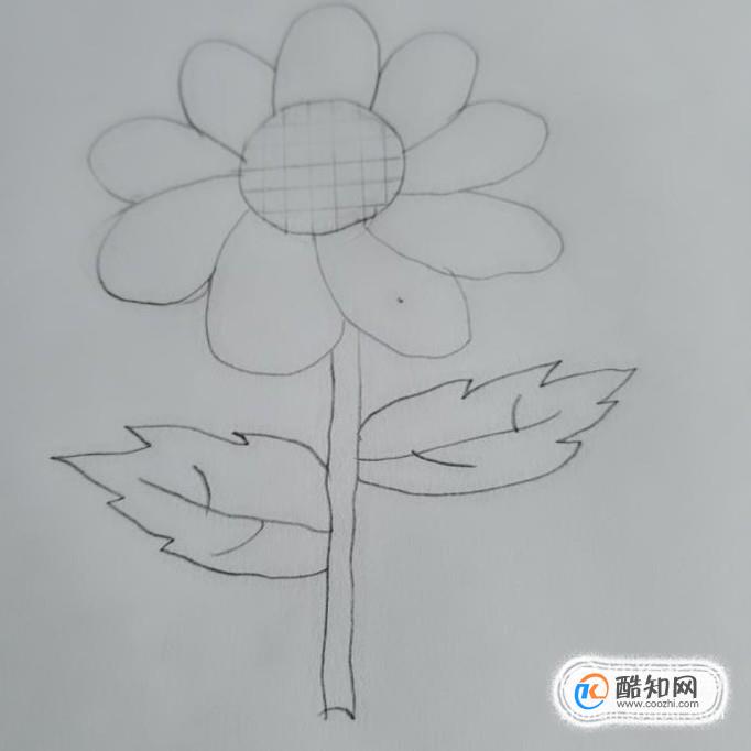 再画向日葵的杆和叶子,一般画二片叶子就好.如图所示.