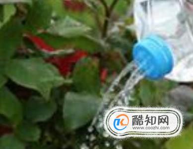 自制实用喷水壶优质  第5张