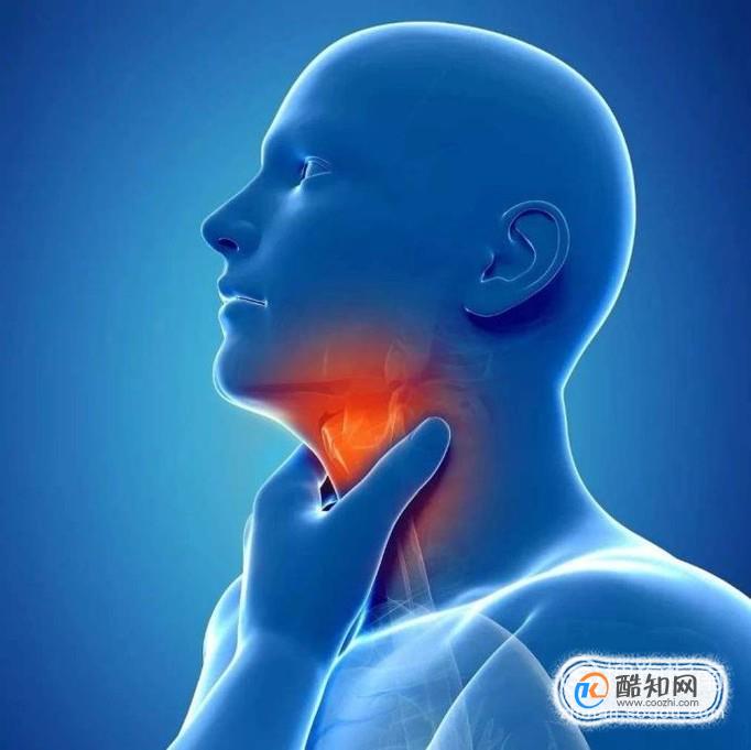 地念还可以治疗喉咙痛,咽喉肿痛和风火牙痛的作用.