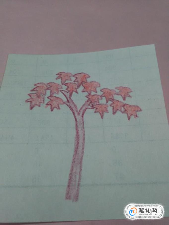儿童简笔画小枫树的画法优质