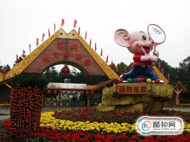 深圳野生动物园好玩吗