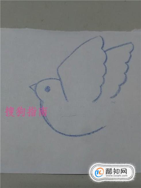 如何画和平鸽简笔画_酷知经验网