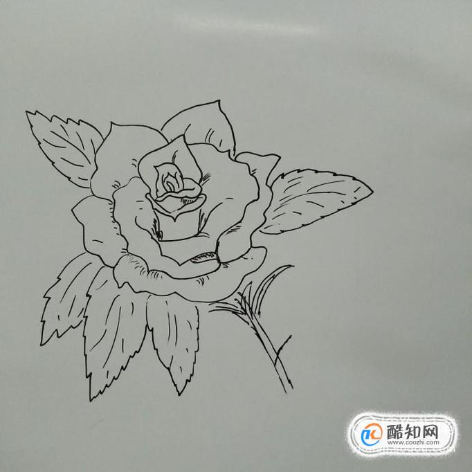 简笔画玫瑰花怎么画?优质