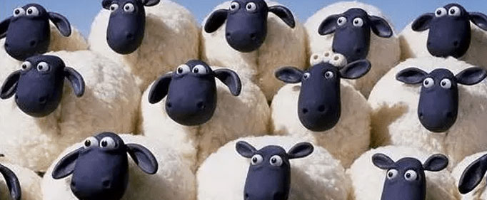 “羊群效应”是什么意思？