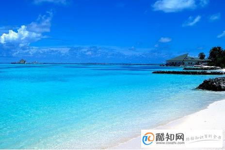 旅行社起名,旅行社名字大全