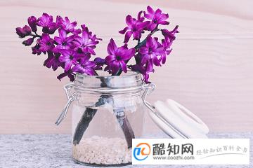 优雅浪漫的花店名字