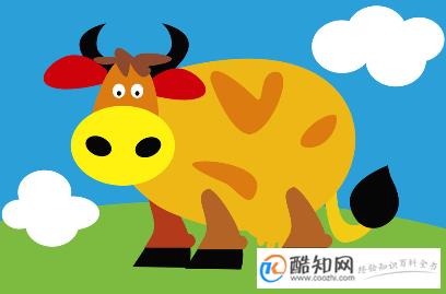 属牛的年份之属牛人的性格分析