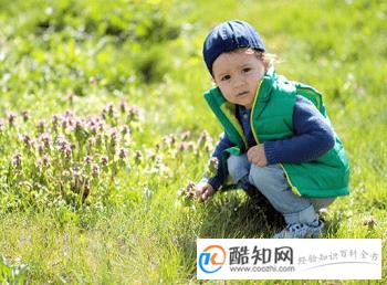 郑姓男孩起名字大全