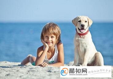 朱姓男孩起名,朱姓男孩起名字大全