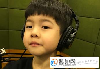 姓何的男孩名字大全