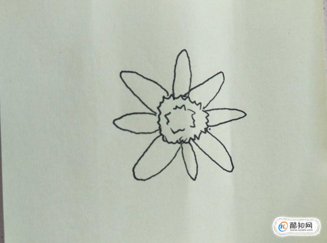 育儿简笔画植物篇：吉祥的菊花绘画步骤图解 | 采芊迷