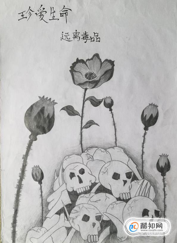 画出用骷髅堆出的山上长出的罂粟来表示毒品对人的危害.