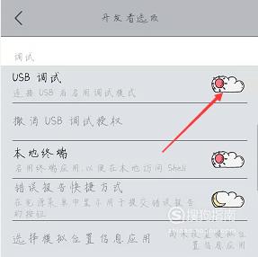 vivo手机怎么开启USB优质  第6张