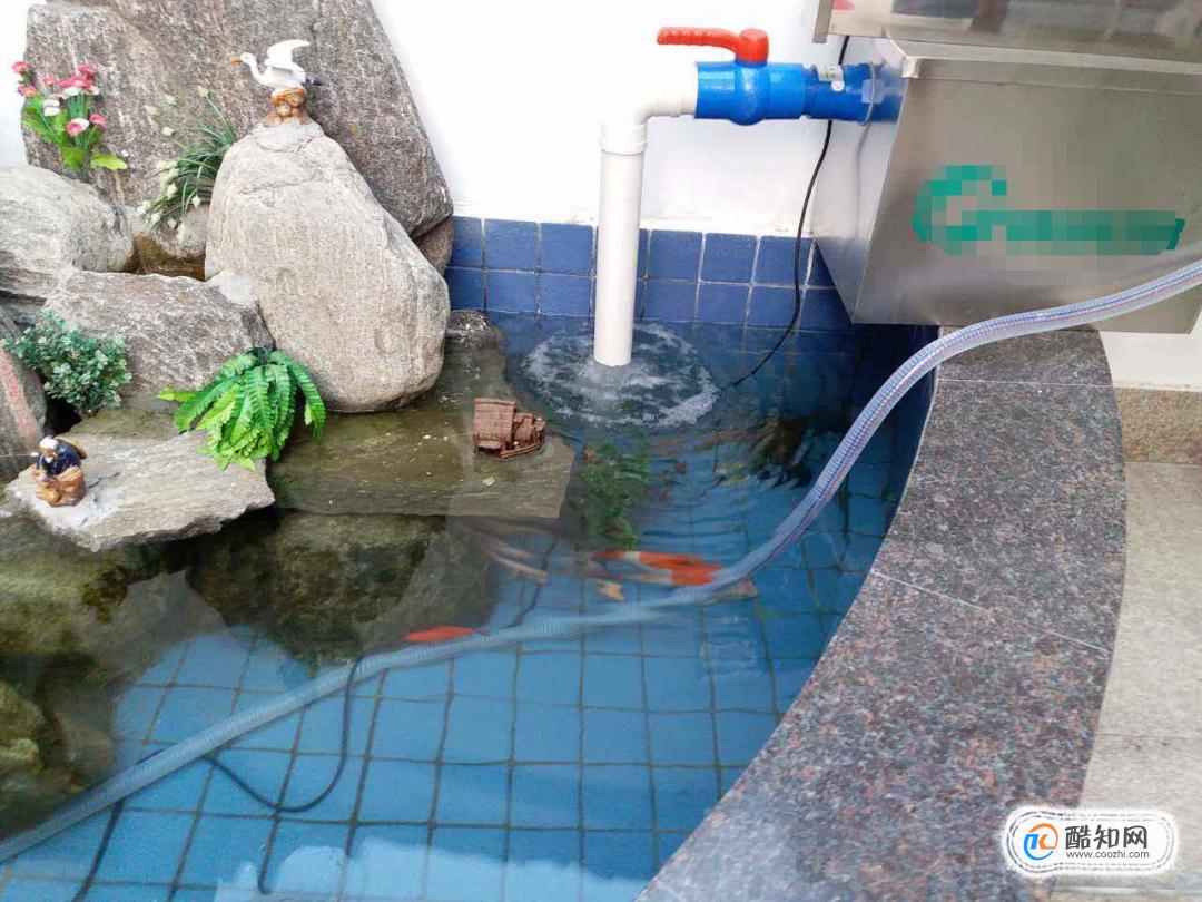 景观鱼池智能高效生态活水系统让养鱼变得简单有趣 ，让池水变得健康洁净。-企业官网