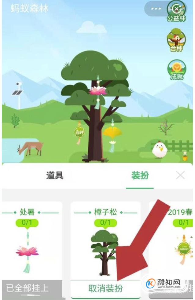 蚂蚁森林树形状怎么变成樟子松怎么改变树形状优质