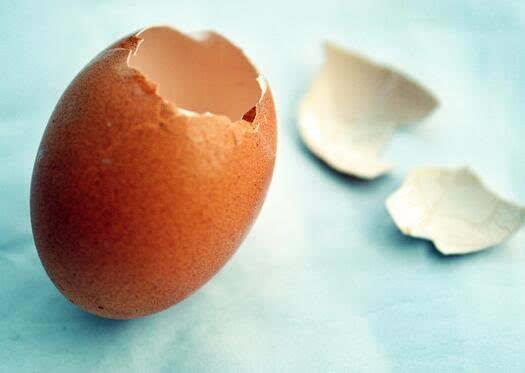 鸡蛋壳是什么物质组成的