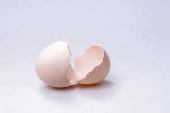 鸡蛋壳是什么物质组成的