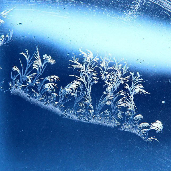 冬天玻璃上形成的冰窗花在哪一侧？
