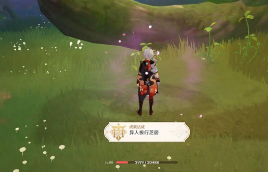 《原神》镜子怎么获得？