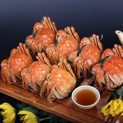 阳澄湖大闸蟹几月份最好吃？