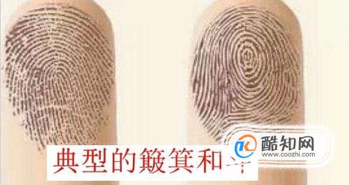 教你怎么识别手指纹路（箕斗纹）及指纹含义