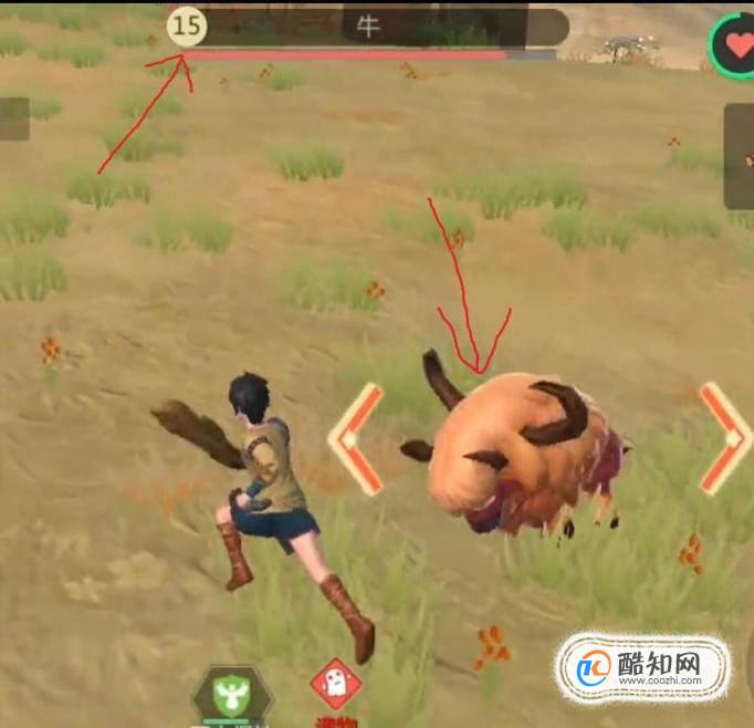 <b>创造与魔法游戏中如何无伤打牛并且获取牛筋</b>