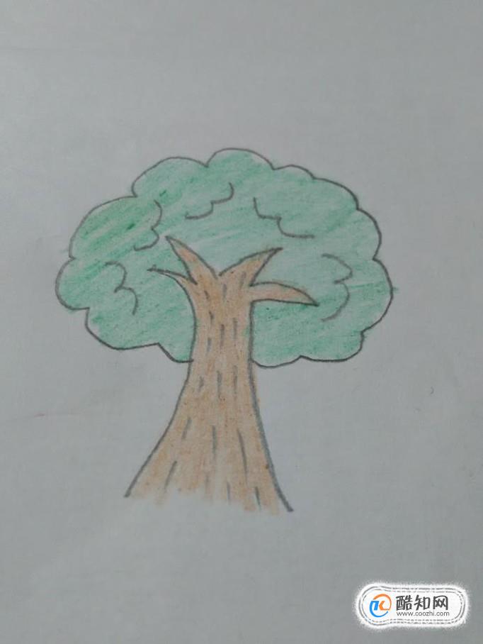 画画大树—简笔画