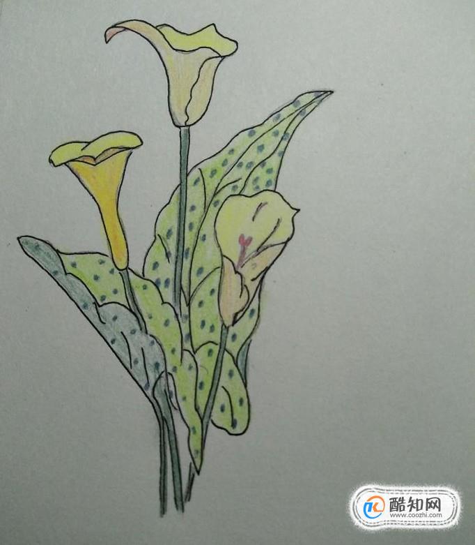 简笔画野花的画法