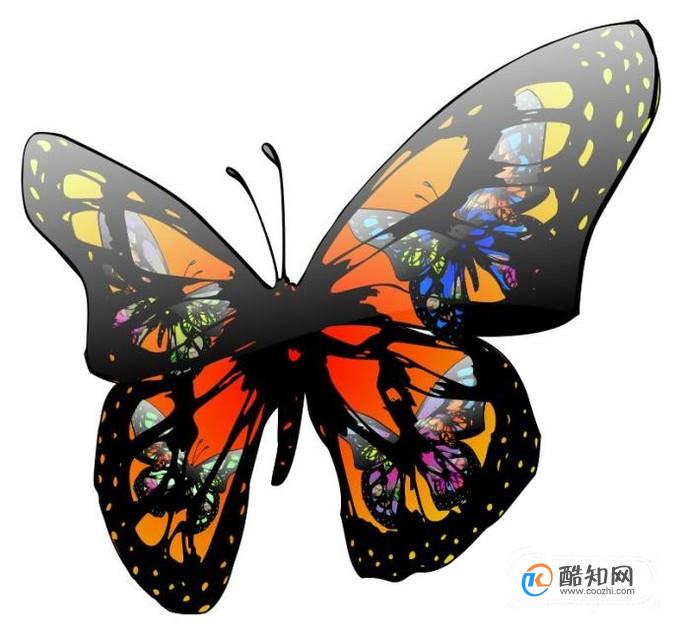 什么是蝴蝶效应？怎样正确解读蝴蝶效应？