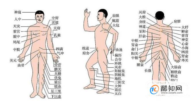 身体五大重要的穴位