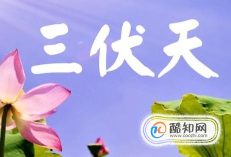 为什么三伏天最热？怎样才能过好三伏天？