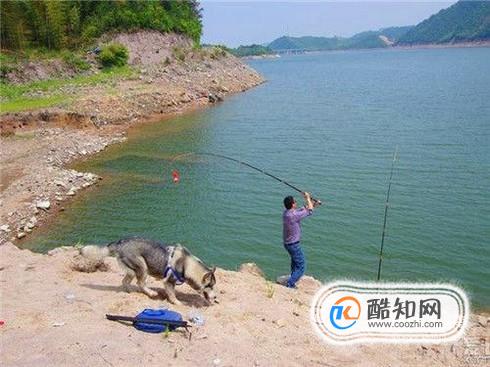 夏季野釣釣位選擇技巧