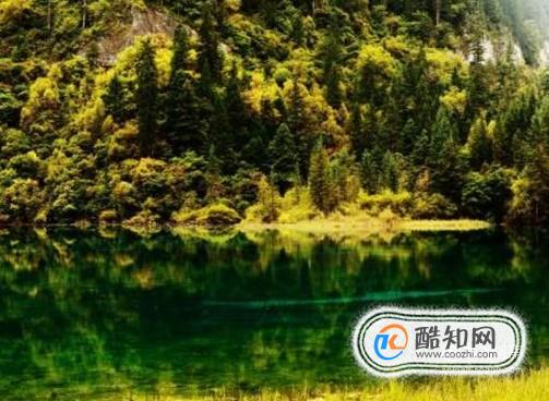稻城亚丁和九寨沟有哪些区别？分别有什么好玩的