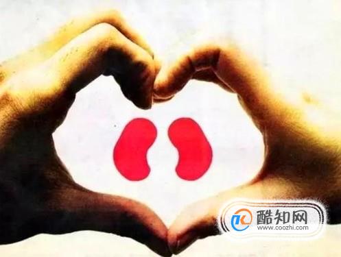夏季有哪些方法可以养肾护肾？