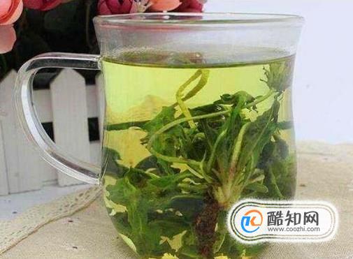 蒲公英加什么泡水喝效果最好？