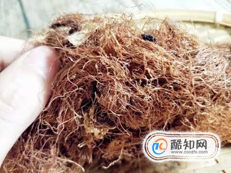 煮玉米的水的功效
