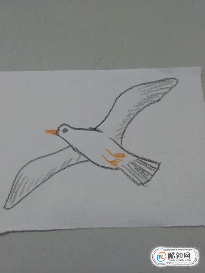 海鸥简笔画怎么画