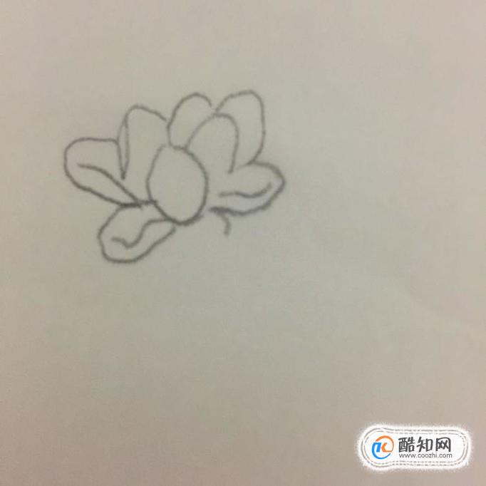 荷花池简笔画