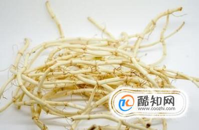 鱼腥草的作用与功效