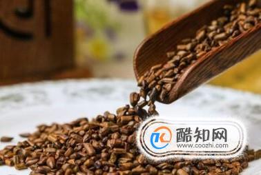 决明子怎么泡茶