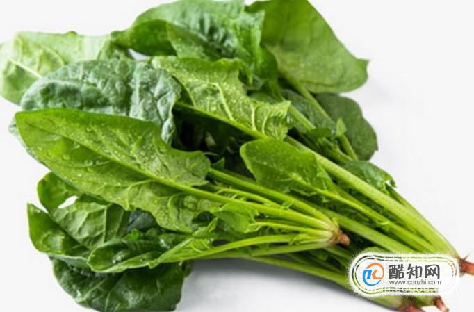 经常吃这6种食物，可以生发！